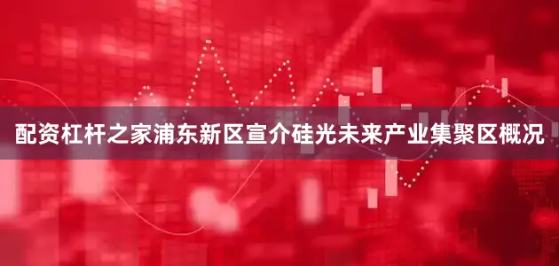 配资杠杆之家浦东新区宣介硅光未来产业集聚区概况