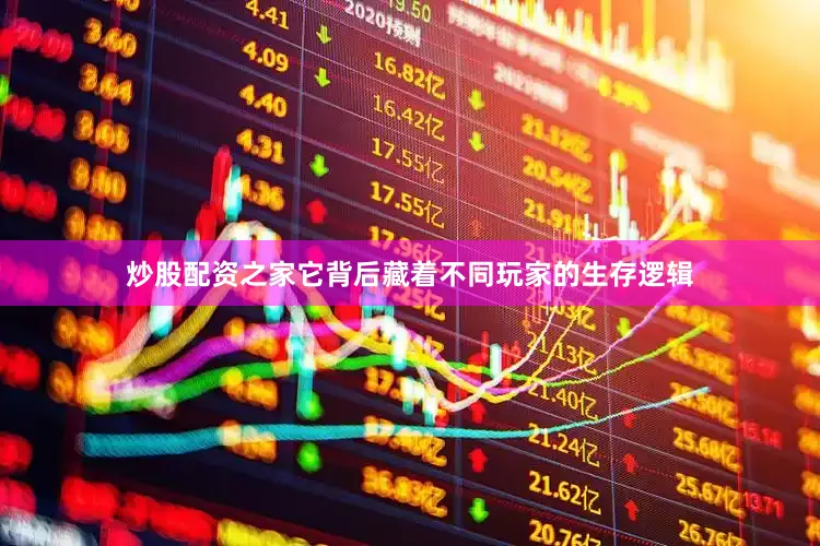 炒股配资之家它背后藏着不同玩家的生存逻辑