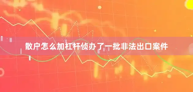 散户怎么加杠杆侦办了一批非法出口案件