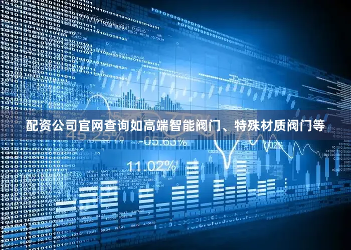 配资公司官网查询如高端智能阀门、特殊材质阀门等