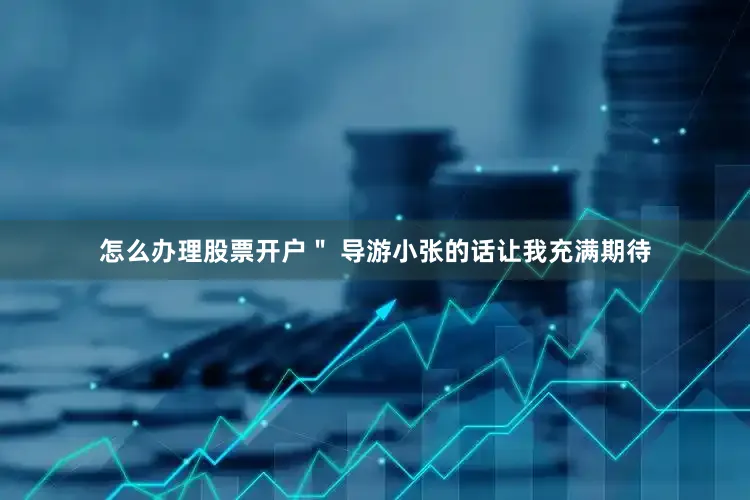 怎么办理股票开户＂ 导游小张的话让我充满期待